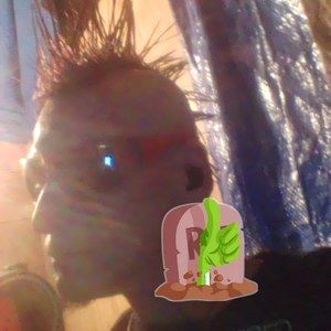 Meet your Posher, Albert